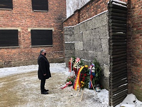 Возложение венков к мемориалу «Стена смерти» на территории музея Аушвиц-Биркенау и к памятнику, установленному на месте массового захоронения советских военнопленных Возложение венков к мемориалу «Стена смерти» на территории музея Аушвиц-Биркенау и к памятнику, установленному на месте массового захоронения советских военнопленных