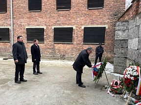 В Международный день памяти жертв Холокоста возложение венков к мемориалу «Стена смерти» на территории музея Аушвиц-Биркенау и к памятнику, установленному на месте массового захоронения советских военнопленных В Международный день памяти жертв Холокоста возложение венков к мемориалу «Стена смерти» на территории музея Аушвиц-Биркенау и к памятнику, установленному на месте массового захоронения советских военнопленных